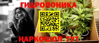 каннабис Кингисепп