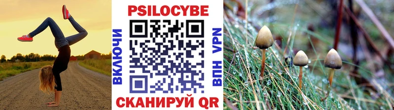 Псилоцибиновые грибы Psilocybe  магазин  наркотиков  Советск 