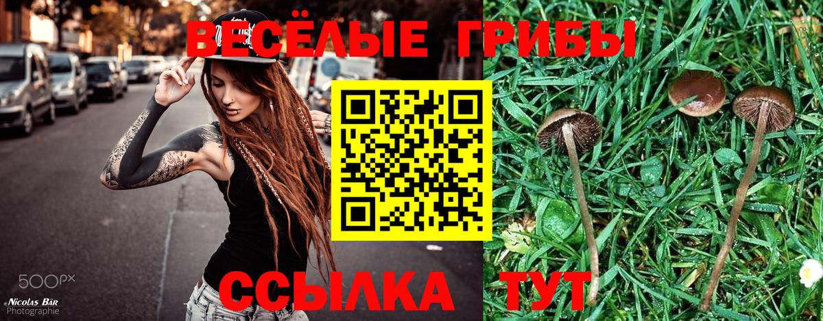 Галлюциногенные грибы Magic Shrooms Советск